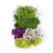 24 Pack: SuperMoss® Purple & Green Preserved Mixed Moss